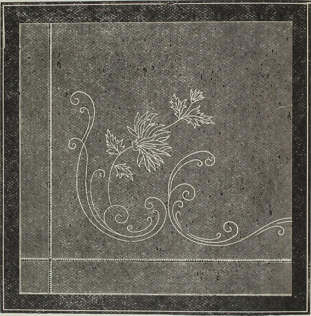 An illustration from Florence home needle-work, 1896, leaf 31