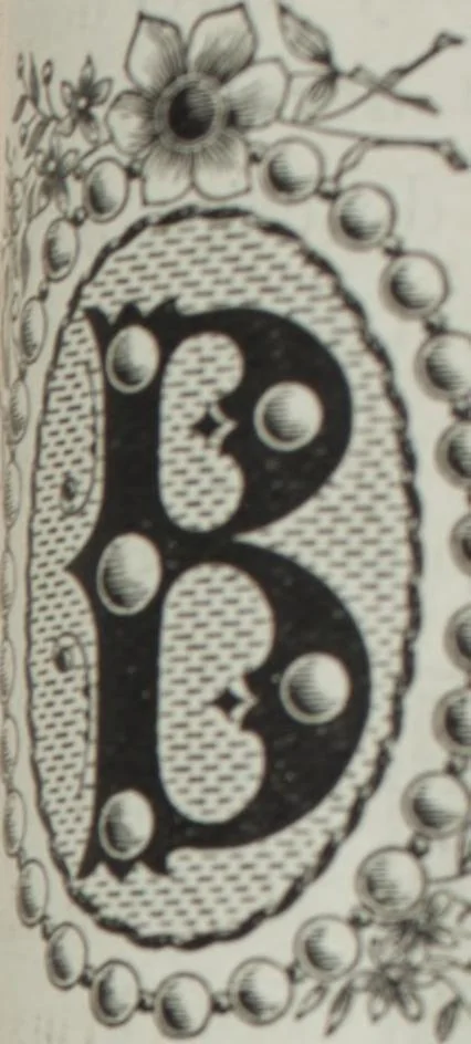 An illustration from Florence home needle-work, 1896, leaf 46