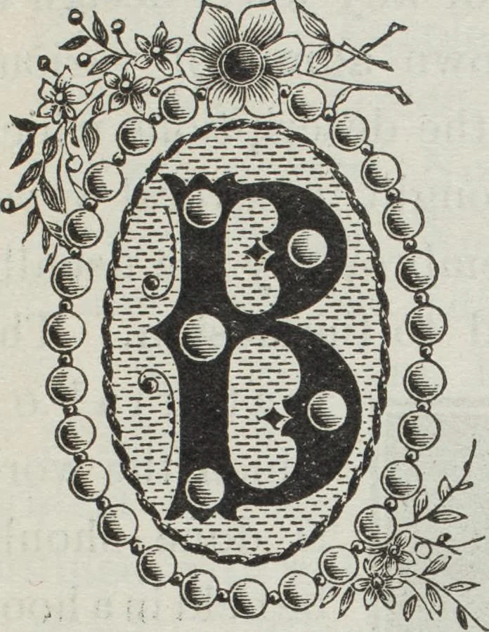 An illustration from Florence home needle-work, 1896, leaf 47