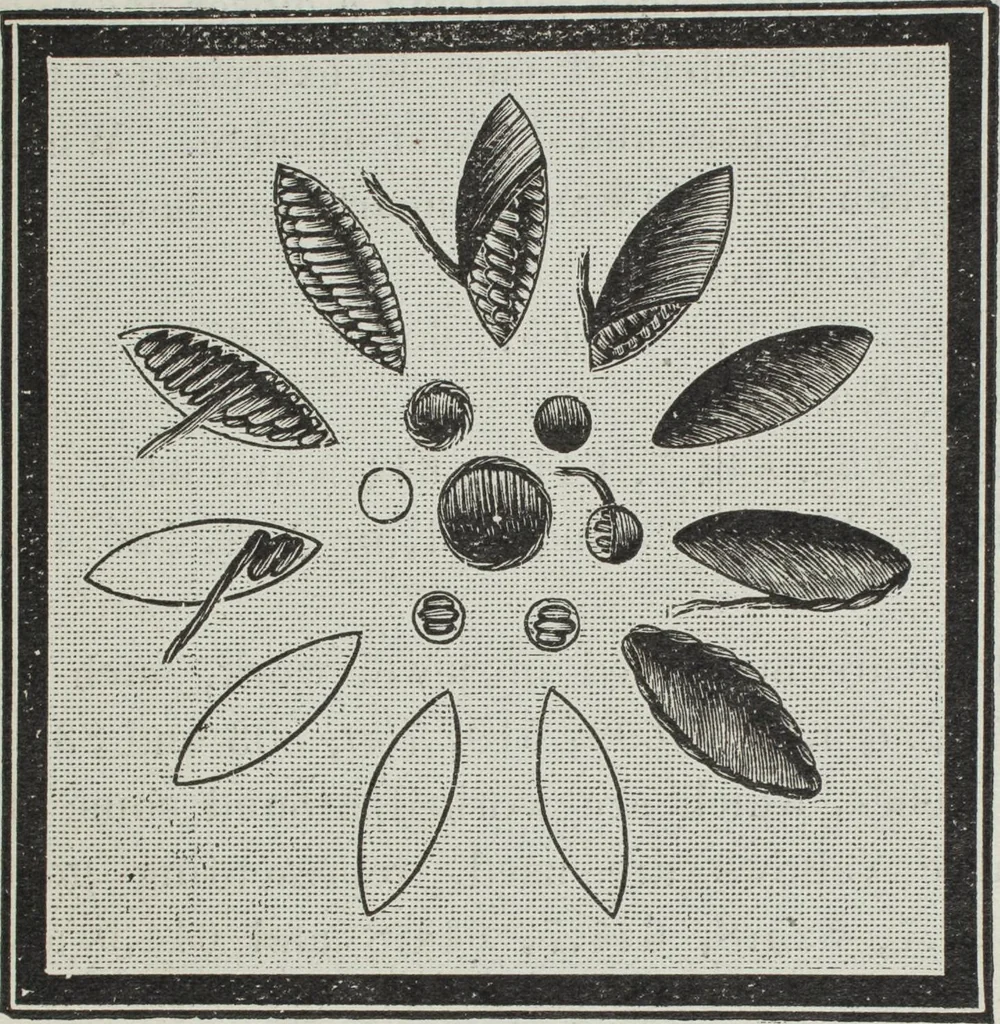 An illustration from Florence home needle-work, 1896, leaf 50