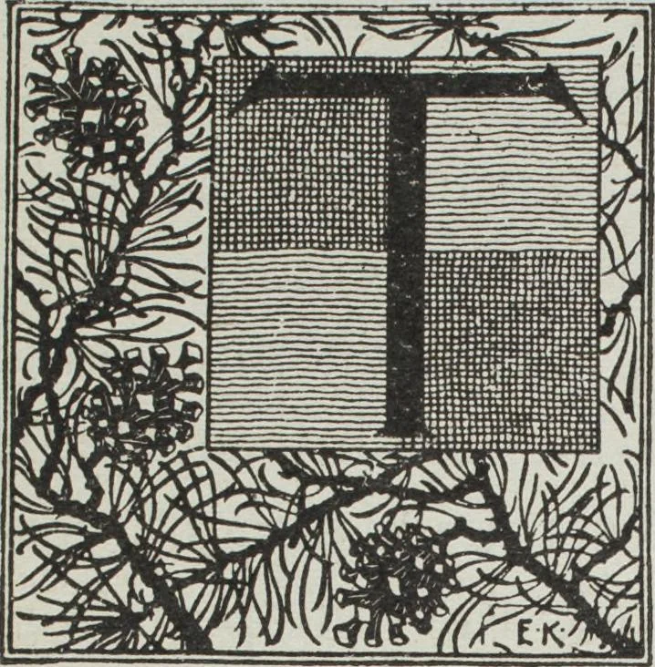 An illustration from Florence home needle-work, 1896, leaf 62