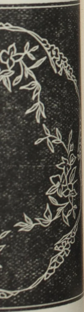 An illustration from Florence home needle-work, 1896, leaf 67