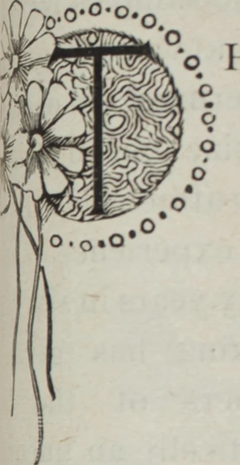 An illustration from Florence home needle-work, 1896, leaf 7