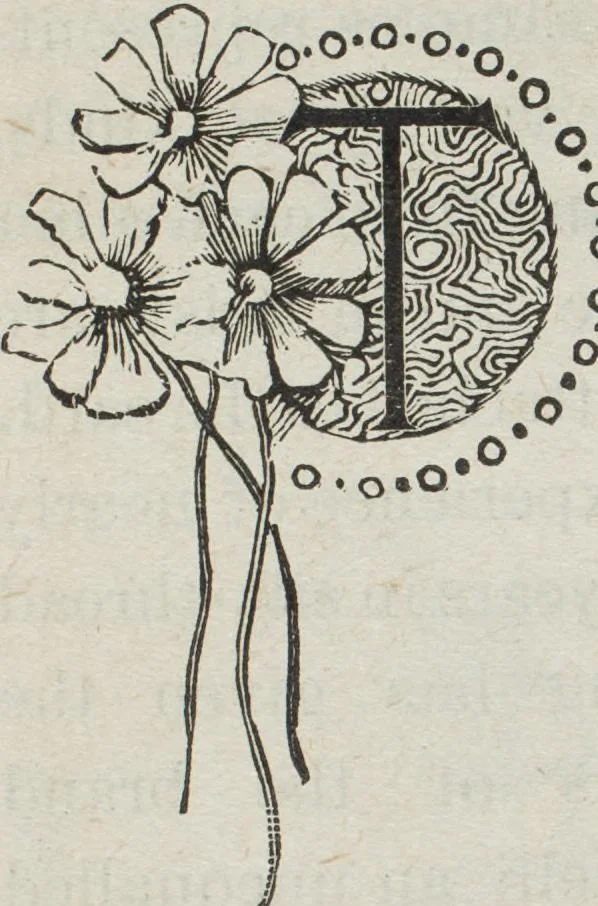 An illustration from Florence home needle-work, 1896, leaf 8