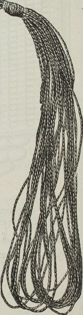 An illustration from Florence home needle-work, 1896, leaf 83