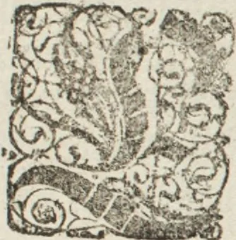 An illustration from Model Buch : Teil 1.-2, 1660, leaf 84