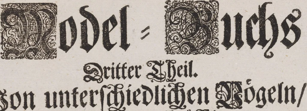 An illustration from Model Buch : Teil 3, 1676, leaf 6