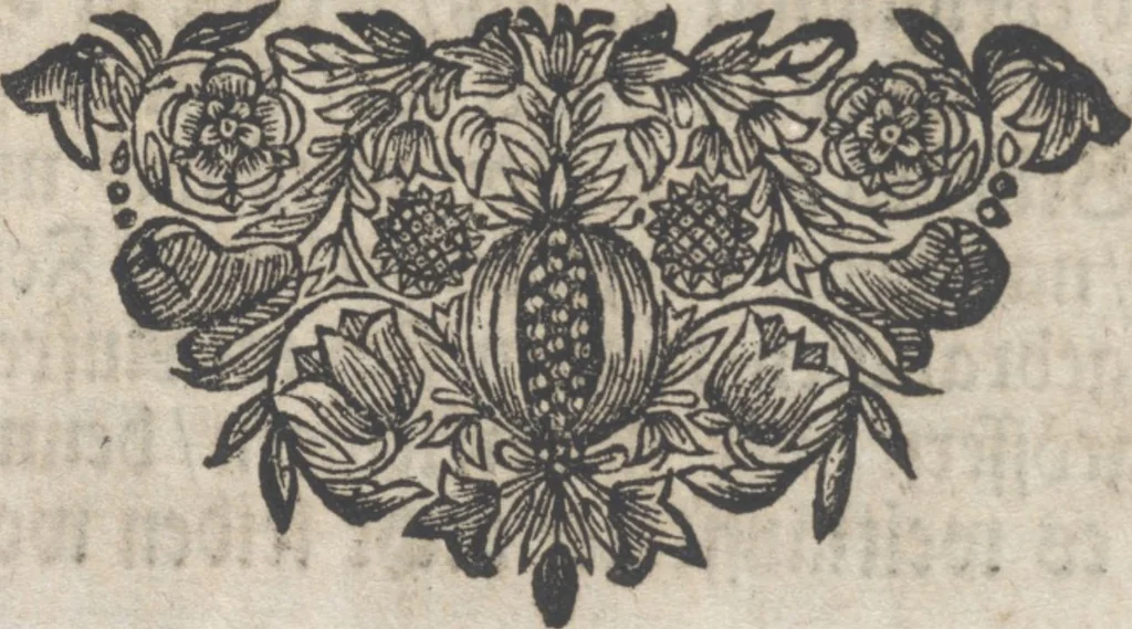 An illustration from Model Buch : Teil 4, 1676, leaf 17