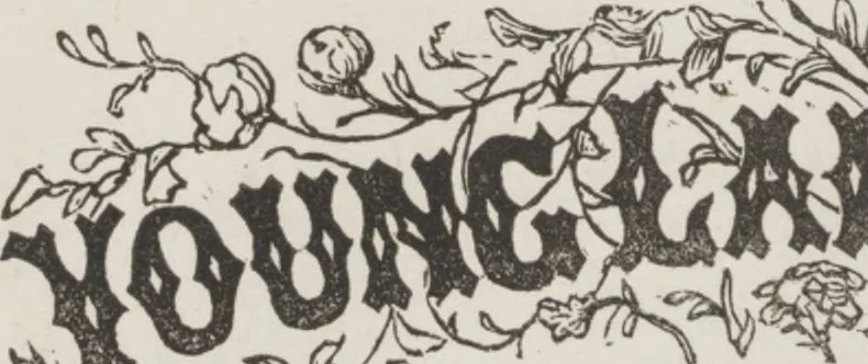 An illustration from Complete guide to the work-table : containing instructions in Berlin work, crochet, drawn-thread work, embroidery, knitting, knotting or macrame, lace, netting, poonah painting, & tatting, with numerous illustrations and coloured designs, 1884, leaf 105