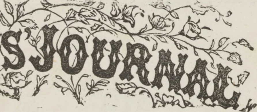 An illustration from Complete guide to the work-table : containing instructions in Berlin work, crochet, drawn-thread work, embroidery, knitting, knotting or macrame, lace, netting, poonah painting, & tatting, with numerous illustrations and coloured designs, 1884, leaf 113