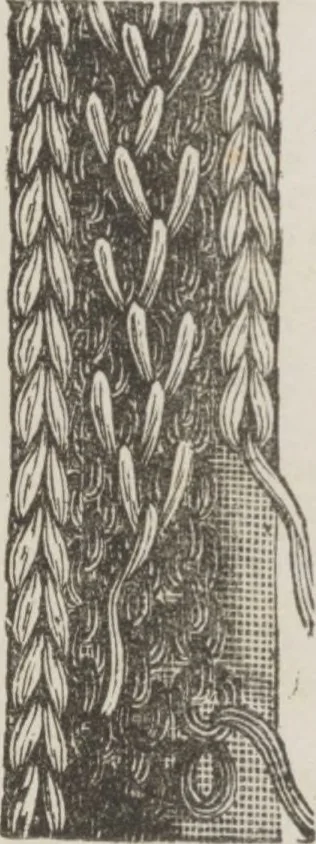 An illustration from Complete guide to the work-table : containing instructions in Berlin work, crochet, drawn-thread work, embroidery, knitting, knotting or macrame, lace, netting, poonah painting, & tatting, with numerous illustrations and coloured designs, 1884, leaf 12