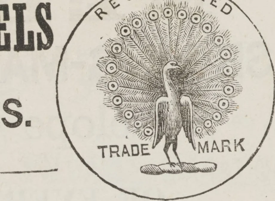 An illustration from Complete guide to the work-table : containing instructions in Berlin work, crochet, drawn-thread work, embroidery, knitting, knotting or macrame, lace, netting, poonah painting, & tatting, with numerous illustrations and coloured designs, 1884, leaf 146