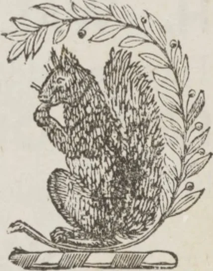 An illustration from Complete guide to the work-table : containing instructions in Berlin work, crochet, drawn-thread work, embroidery, knitting, knotting or macrame, lace, netting, poonah painting, & tatting, with numerous illustrations and coloured designs, 1884, leaf 146