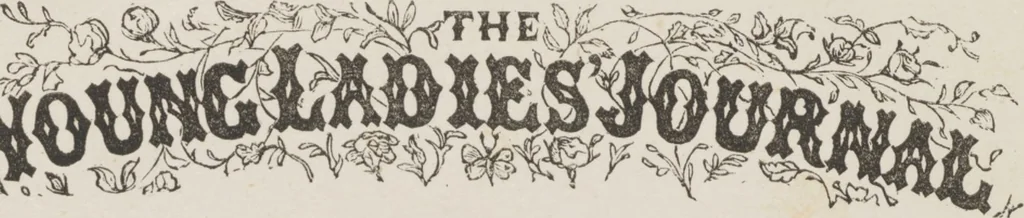 An illustration from Complete guide to the work-table : containing instructions in Berlin work, crochet, drawn-thread work, embroidery, knitting, knotting or macrame, lace, netting, poonah painting, & tatting, with numerous illustrations and coloured designs, 1884, leaf 16