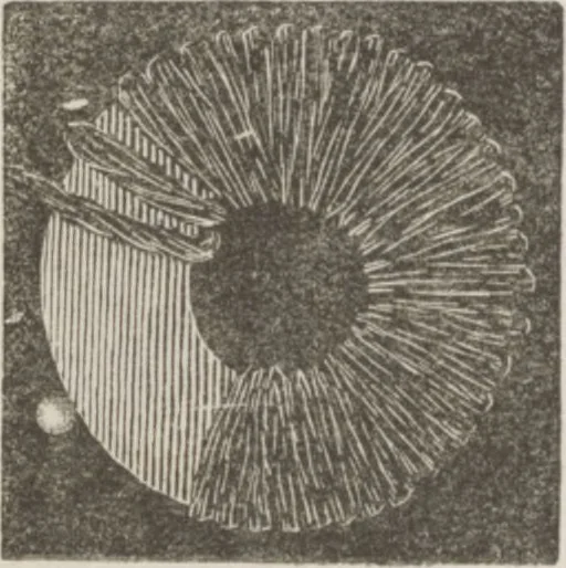 An illustration from Complete guide to the work-table : containing instructions in Berlin work, crochet, drawn-thread work, embroidery, knitting, knotting or macrame, lace, netting, poonah painting, & tatting, with numerous illustrations and coloured designs, 1884, leaf 20