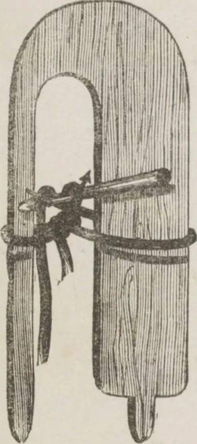 An illustration from Complete guide to the work-table : containing instructions in Berlin work, crochet, drawn-thread work, embroidery, knitting, knotting or macrame, lace, netting, poonah painting, & tatting, with numerous illustrations and coloured designs, 1884, leaf 20