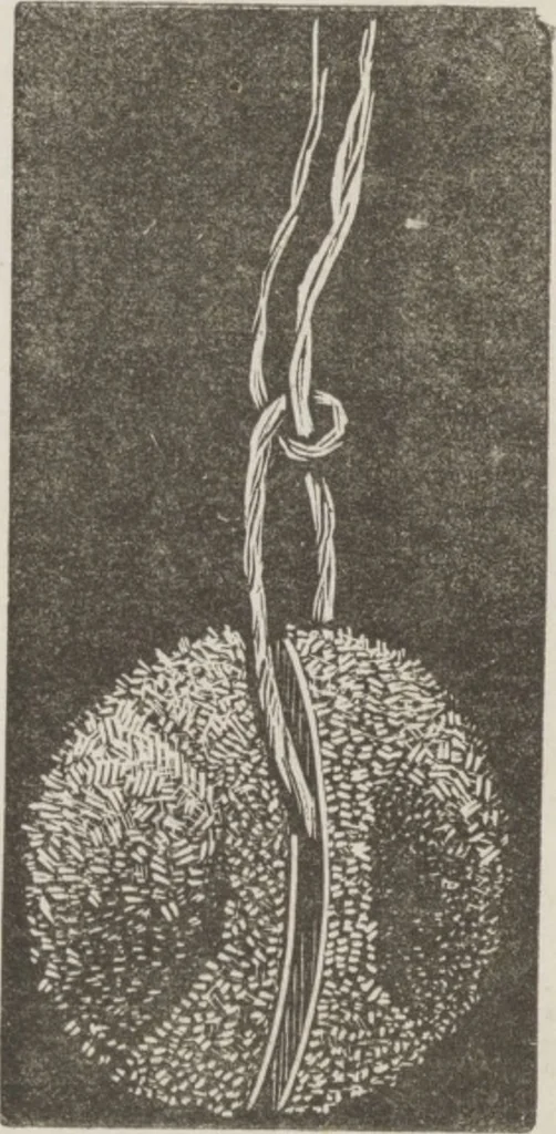 An illustration from Complete guide to the work-table : containing instructions in Berlin work, crochet, drawn-thread work, embroidery, knitting, knotting or macrame, lace, netting, poonah painting, & tatting, with numerous illustrations and coloured designs, 1884, leaf 20