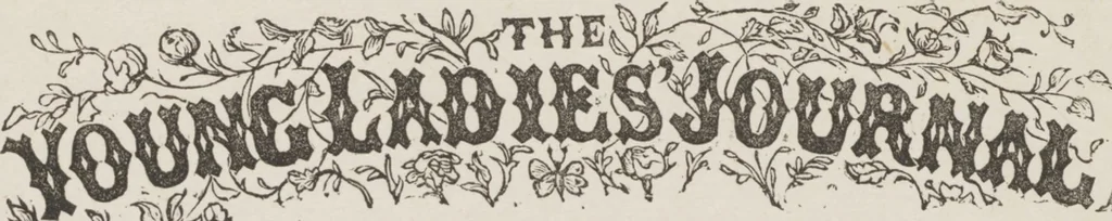 An illustration from Complete guide to the work-table : containing instructions in Berlin work, crochet, drawn-thread work, embroidery, knitting, knotting or macrame, lace, netting, poonah painting, & tatting, with numerous illustrations and coloured designs, 1884, leaf 32