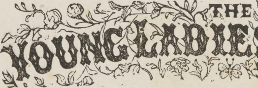An illustration from Complete guide to the work-table : containing instructions in Berlin work, crochet, drawn-thread work, embroidery, knitting, knotting or macrame, lace, netting, poonah painting, & tatting, with numerous illustrations and coloured designs, 1884, leaf 4