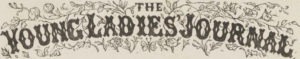 An illustration from Complete guide to the work-table : containing instructions in Berlin work, crochet, drawn-thread work, embroidery, knitting, knotting or macrame, lace, netting, poonah painting, & tatting, with numerous illustrations and coloured designs, 1884, leaf 40
