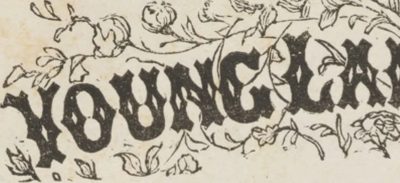 An illustration from Complete guide to the work-table : containing instructions in Berlin work, crochet, drawn-thread work, embroidery, knitting, knotting or macrame, lace, netting, poonah painting, & tatting, with numerous illustrations and coloured designs, 1884, leaf 49