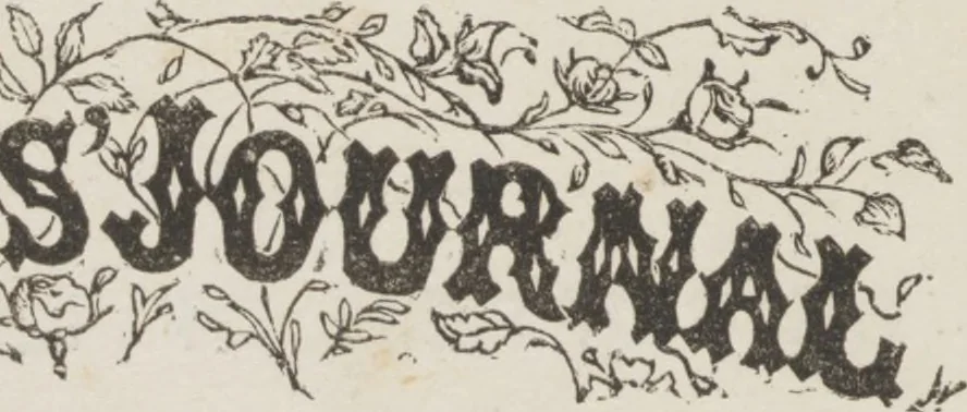 An illustration from Complete guide to the work-table : containing instructions in Berlin work, crochet, drawn-thread work, embroidery, knitting, knotting or macrame, lace, netting, poonah painting, & tatting, with numerous illustrations and coloured designs, 1884, leaf 49