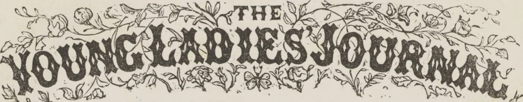An illustration from Complete guide to the work-table : containing instructions in Berlin work, crochet, drawn-thread work, embroidery, knitting, knotting or macrame, lace, netting, poonah painting, & tatting, with numerous illustrations and coloured designs, 1884, leaf 57