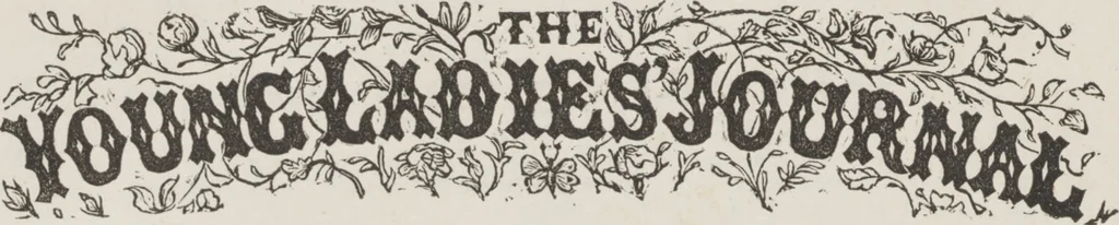 An illustration from Complete guide to the work-table : containing instructions in Berlin work, crochet, drawn-thread work, embroidery, knitting, knotting or macrame, lace, netting, poonah painting, & tatting, with numerous illustrations and coloured designs, 1884, leaf 65