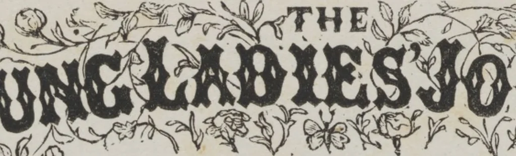 An illustration from Complete guide to the work-table : containing instructions in Berlin work, crochet, drawn-thread work, embroidery, knitting, knotting or macrame, lace, netting, poonah painting, & tatting, with numerous illustrations and coloured designs, 1884, leaf 8