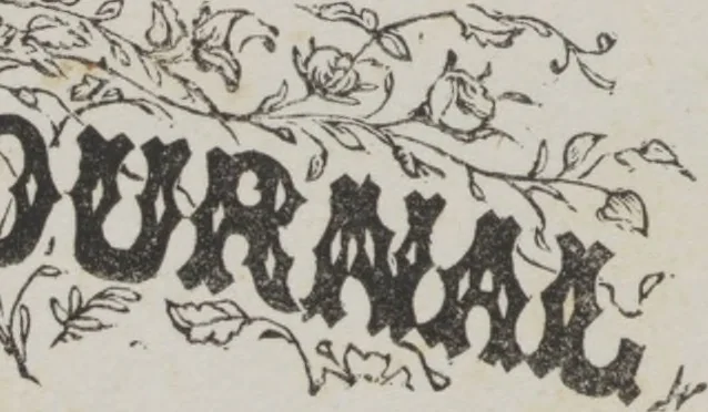 An illustration from Complete guide to the work-table : containing instructions in Berlin work, crochet, drawn-thread work, embroidery, knitting, knotting or macrame, lace, netting, poonah painting, & tatting, with numerous illustrations and coloured designs, 1884, leaf 8