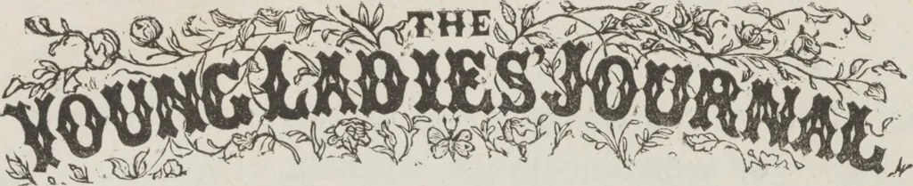 An illustration from Complete guide to the work-table : containing instructions in Berlin work, crochet, drawn-thread work, embroidery, knitting, knotting or macrame, lace, netting, poonah painting, & tatting, with numerous illustrations and coloured designs, 1884, leaf 81