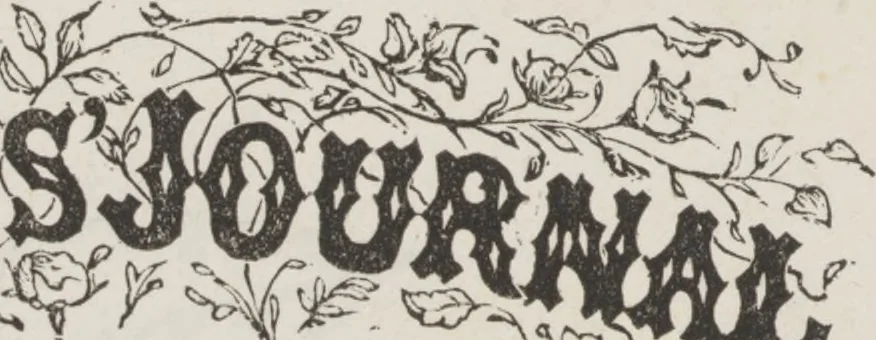 An illustration from Complete guide to the work-table : containing instructions in Berlin work, crochet, drawn-thread work, embroidery, knitting, knotting or macrame, lace, netting, poonah painting, & tatting, with numerous illustrations and coloured designs, 1884, leaf 89
