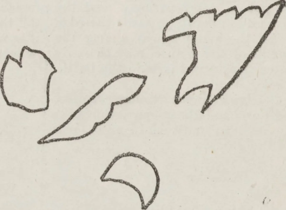 An illustration from Complete guide to the work-table : containing instructions in Berlin work, crochet, drawn-thread work, embroidery, knitting, knotting or macrame, lace, netting, poonah painting, & tatting, with numerous illustrations and coloured designs, 1884, leaf 95