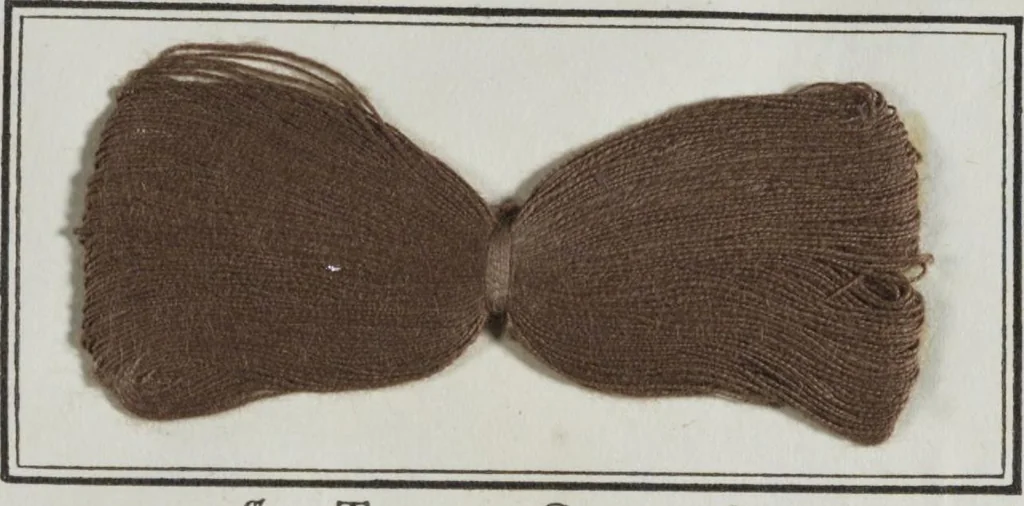 An illustration from New products manufactured by Farbwerke vorm. Meister Lucius & Brüning, Hoechst on the Main, Germany., 1900, leaf 94
