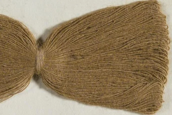 An illustration from New products manufactured by Farbwerke vorm. Meister Lucius & Brüning, Hoechst on the Main, Germany., 1900, leaf 98