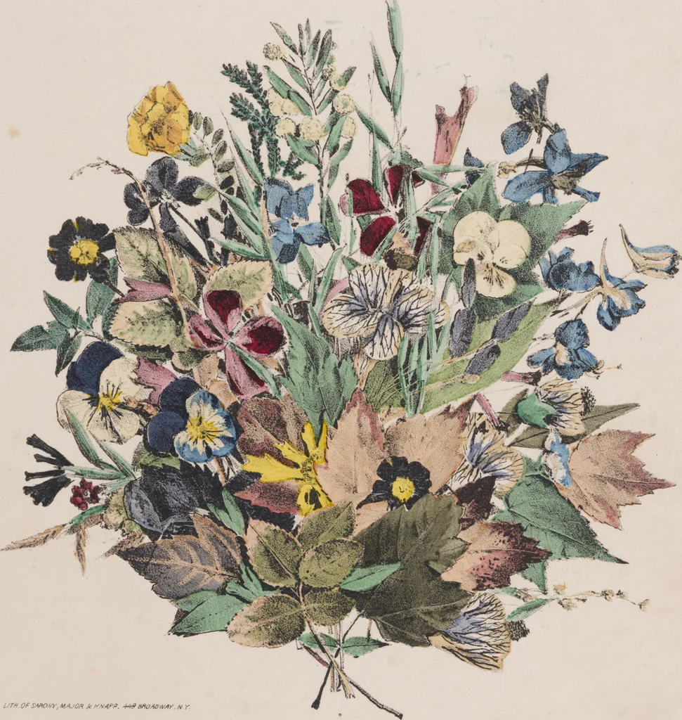 An illustration from Leaf and flower pictures, and how to make them, 1859, leaf 5