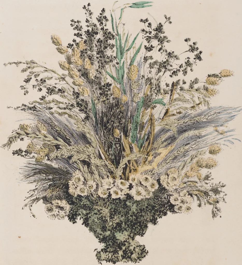An illustration from Leaf and flower pictures, and how to make them, 1859, leaf 52