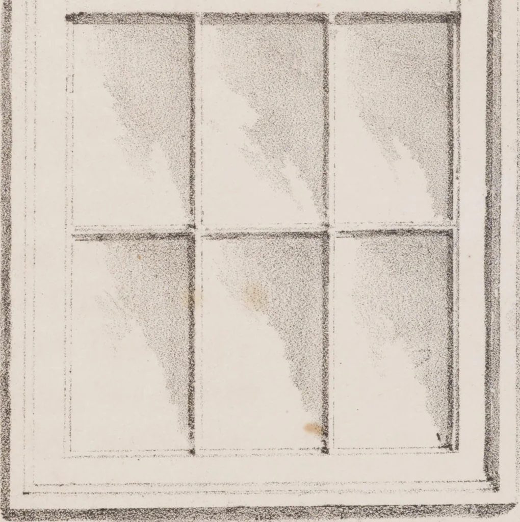 An illustration from Leaf and flower pictures, and how to make them, 1859, leaf 75