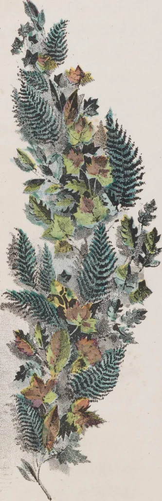 An illustration from Leaf and flower pictures, and how to make them, 1859, leaf 75