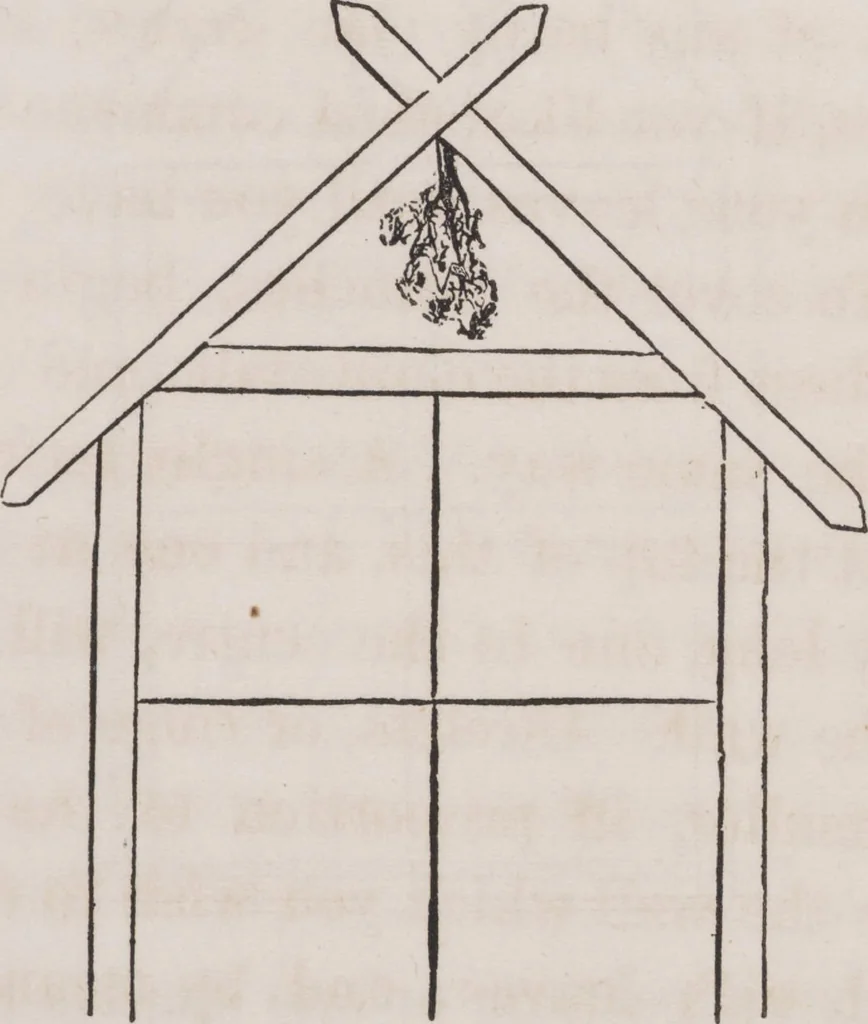 An illustration from Leaf and flower pictures, and how to make them, 1859, leaf 77