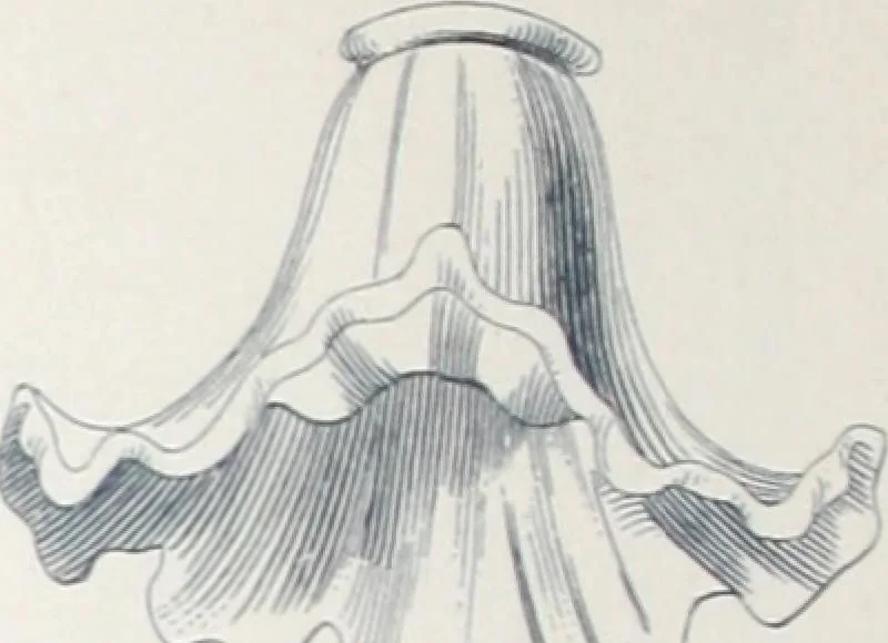 An illustration from Manufacture de lampes A incandescence & d'appareillage general pour l'electricite La Frana§aise., 1900, leaf 45