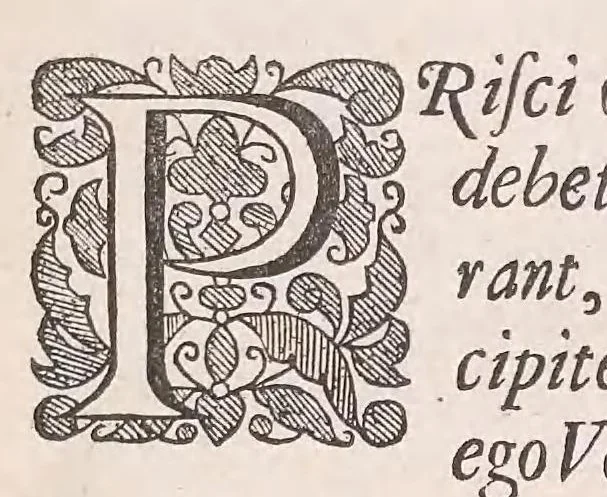 An illustration from Marcelli Malpighii philosophi & medici Bononiensis, è Regia Societate, Anatome plantarum : Cui subjungitur appendix, iteratas & auctas ejusdem authoris De ovo incubato observationes continens, 1675, leaf 25