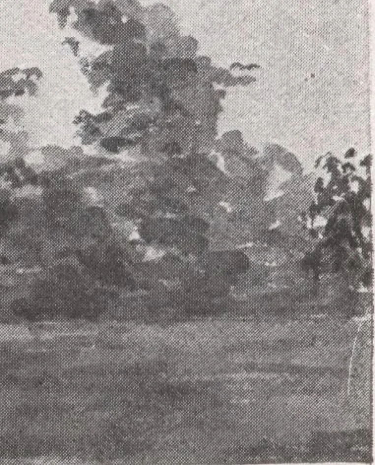 An illustration from Attractive homes, 1912, leaf 103