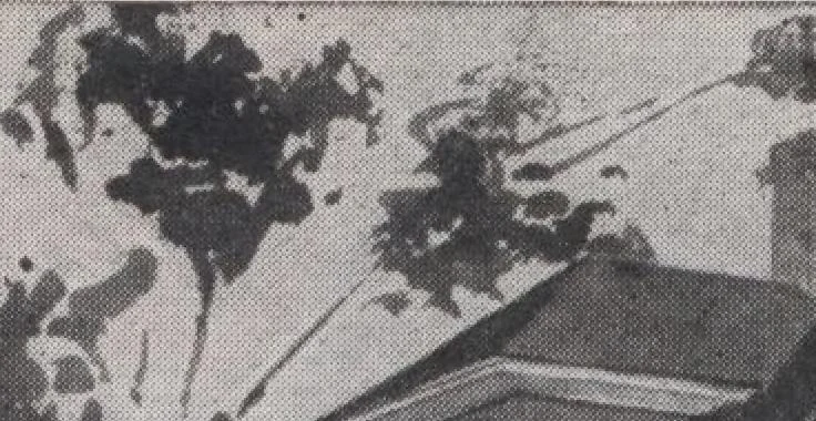 An illustration from Attractive homes, 1912, leaf 29