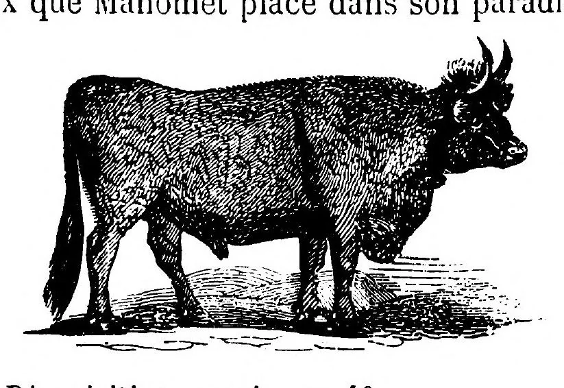 An illustration from Dictionnaire infernal; répertoire universel des êtres, des personnages, des livres, des faits et des choses qui tiennent aux esprits .., 1863, leaf 115