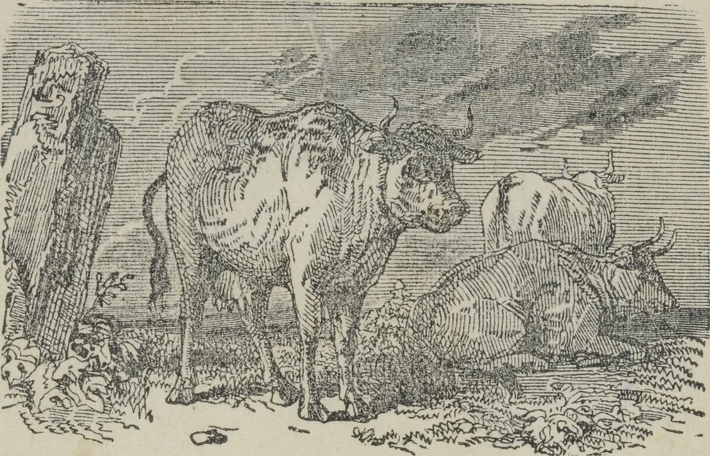 An illustration from Life on the farm; in amusing rhyme, 1856, leaf 3