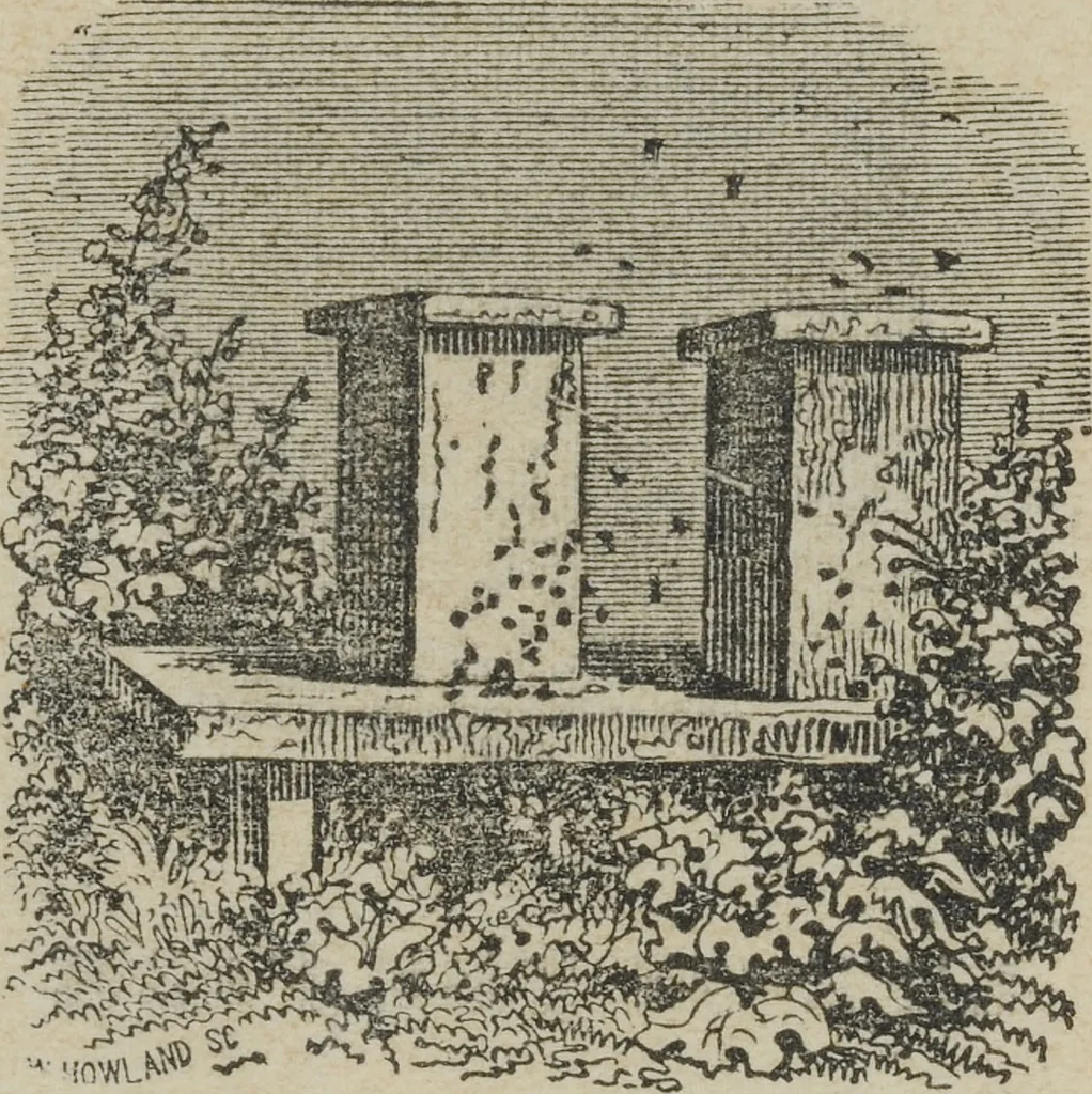An illustration from Life on the farm; in amusing rhyme, 1856, leaf 5