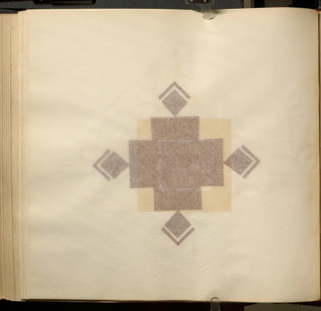 An illustration from Sample book of quilt and embroidery patterns, 1895, leaf 169