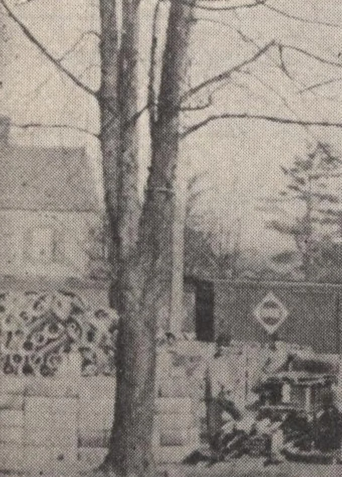 An illustration from Miracle concrete: the great modern industry, 1909, leaf 21