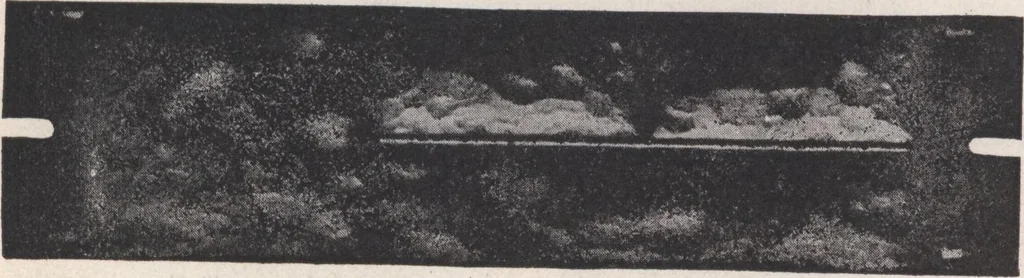 An illustration from Miracle concrete: the great modern industry, 1909, leaf 35